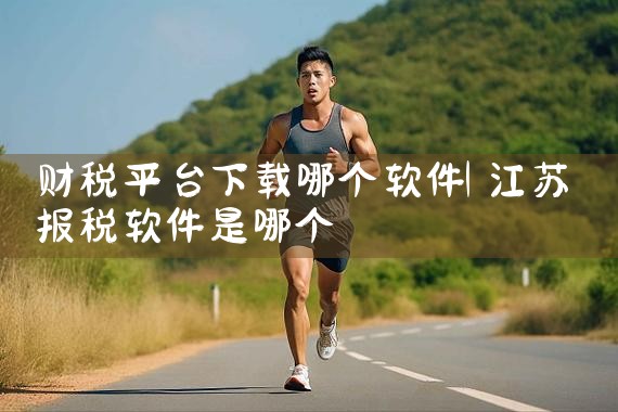 财税平台下载哪个软件