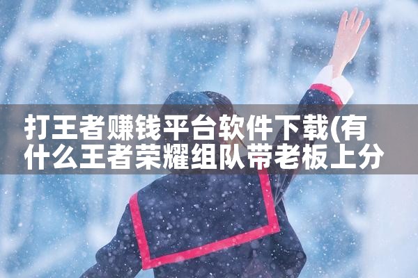 打王者赚钱平台软件下载
