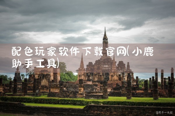 配色玩家软件下载官网