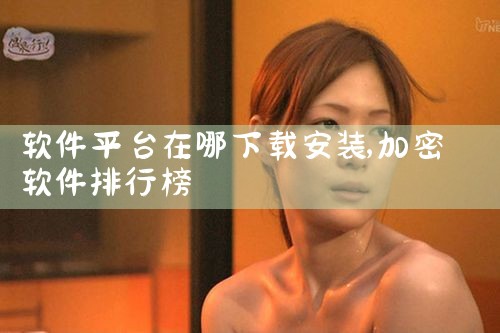 软件平台在哪下载安装