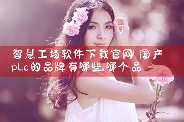 智慧工场软件下载官网