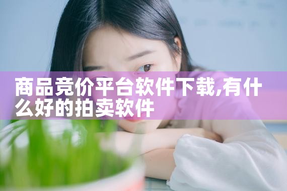 商品竞价平台软件下载