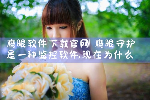 鹰眼软件下载官网