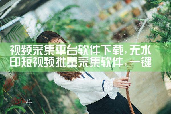 视频采集平台软件下载