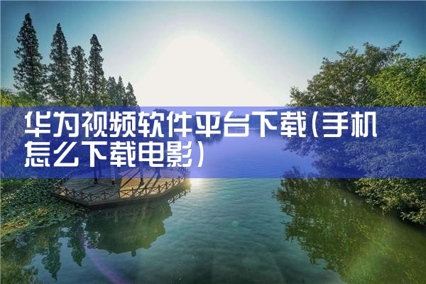 华为视频软件平台下载