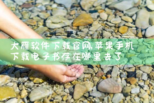 大雁软件下载官网