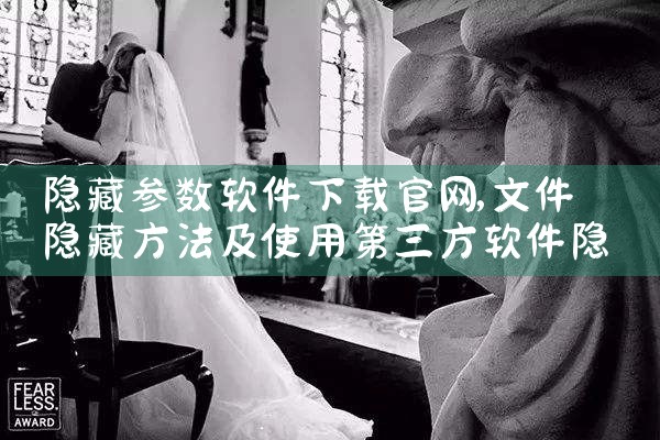 隐藏参数软件下载官网