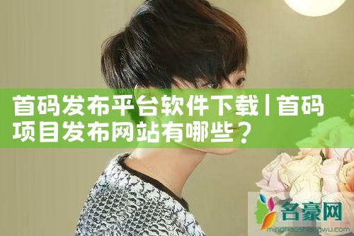首码发布平台软件下载