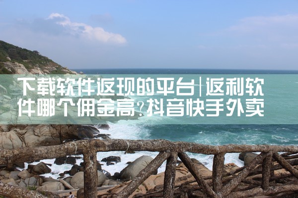 下载软件返现的平台